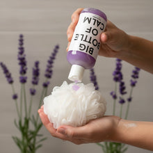 Load image into Gallery viewer, Big Bottle Of Calm Lavender Body Wash-3
